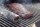 PITBOSS Smoke Tube verstellbar 170-300mm länge