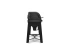 TRAEGER Woodridge Pro